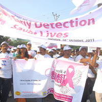 Nandamuri Balakrishna at Breast Cancer Awerence Walk - Pictures | Picture 104756
